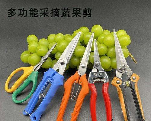 修剪葡萄枝条的最佳时间是什么时候？如何正确修剪以提高产量？