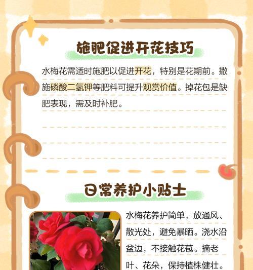 梅花树苗怎么种植方法？种植过程中需要注意哪些问题？