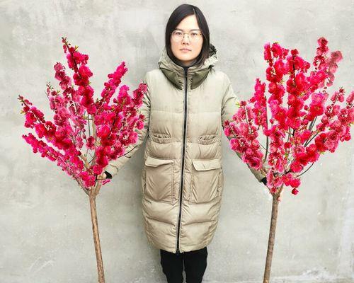 梅花树苗怎么种植方法？种植过程中需要注意哪些问题？