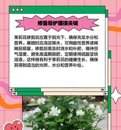 花剪枝条怎么修剪？修剪的最佳时间和方法是什么？