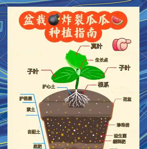 西瓜籽催芽方法是什么？需要多长时间才能发芽？