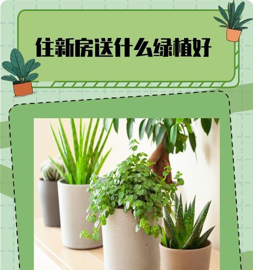 绿萝怎么种植方法？有哪些步骤和注意事项？