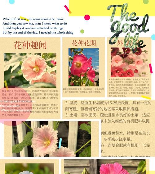 104朵花代表什么含义？104朵花的寓意有哪些常见问题解答？
