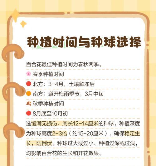 花百合怎么种植方法？有哪些步骤和注意事项？