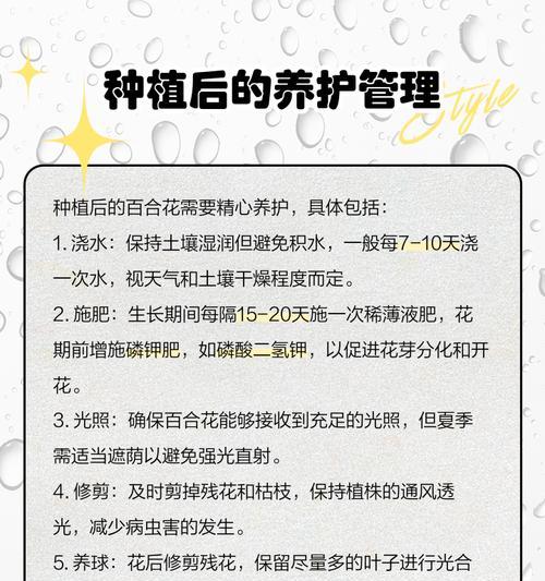 花百合怎么种植方法？有哪些步骤和注意事项？