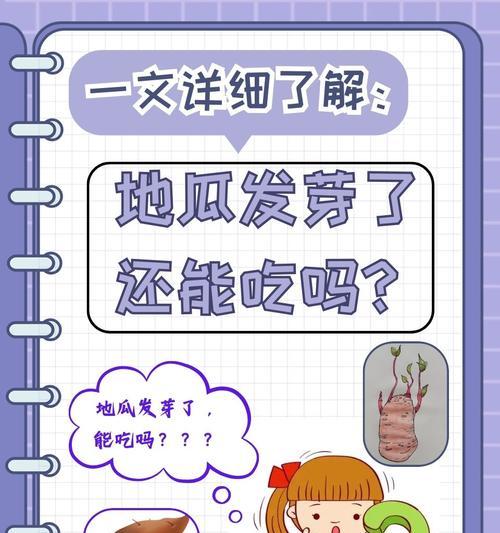 香瓜催芽之后怎么办？后续管理要点有哪些？