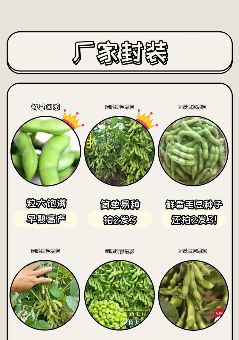毛豆催芽最快方法是什么？如何提高发芽效率？