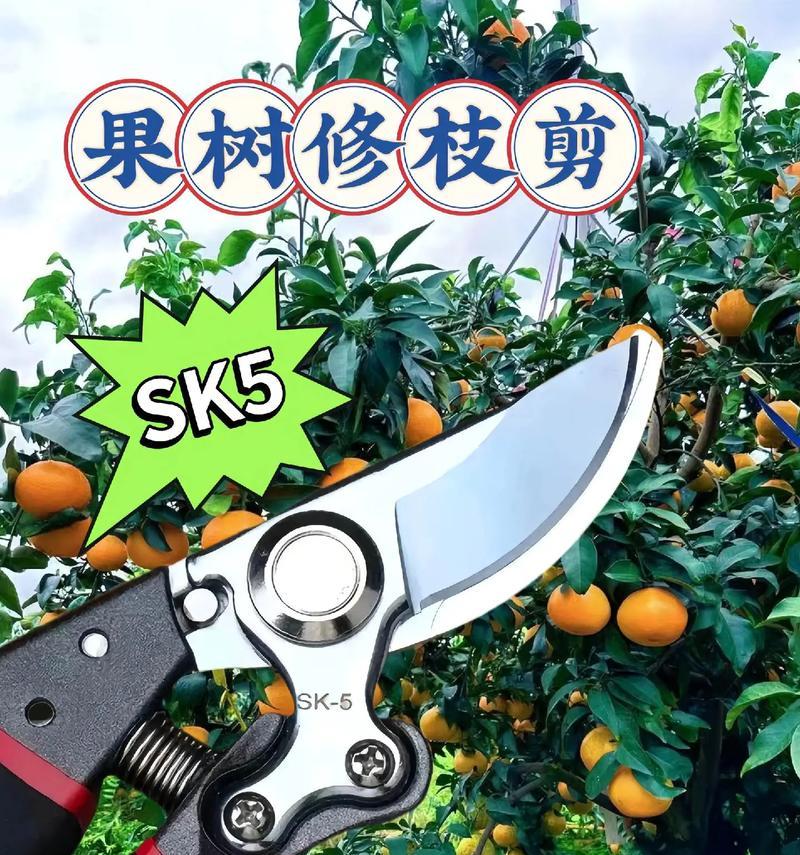 果树修剪枝叶的最佳时机是什么时候？如何正确进行修剪？