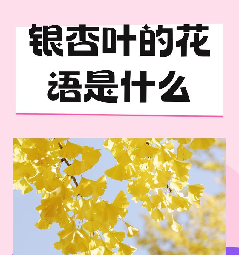 银杏真正的花语是什么