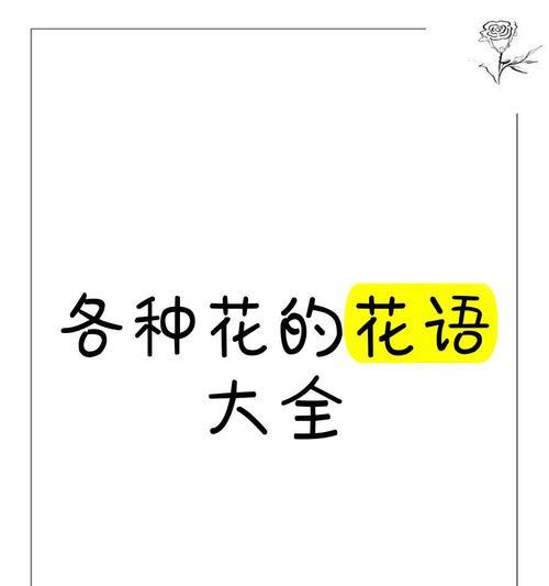 什么花的花语是等待爱情