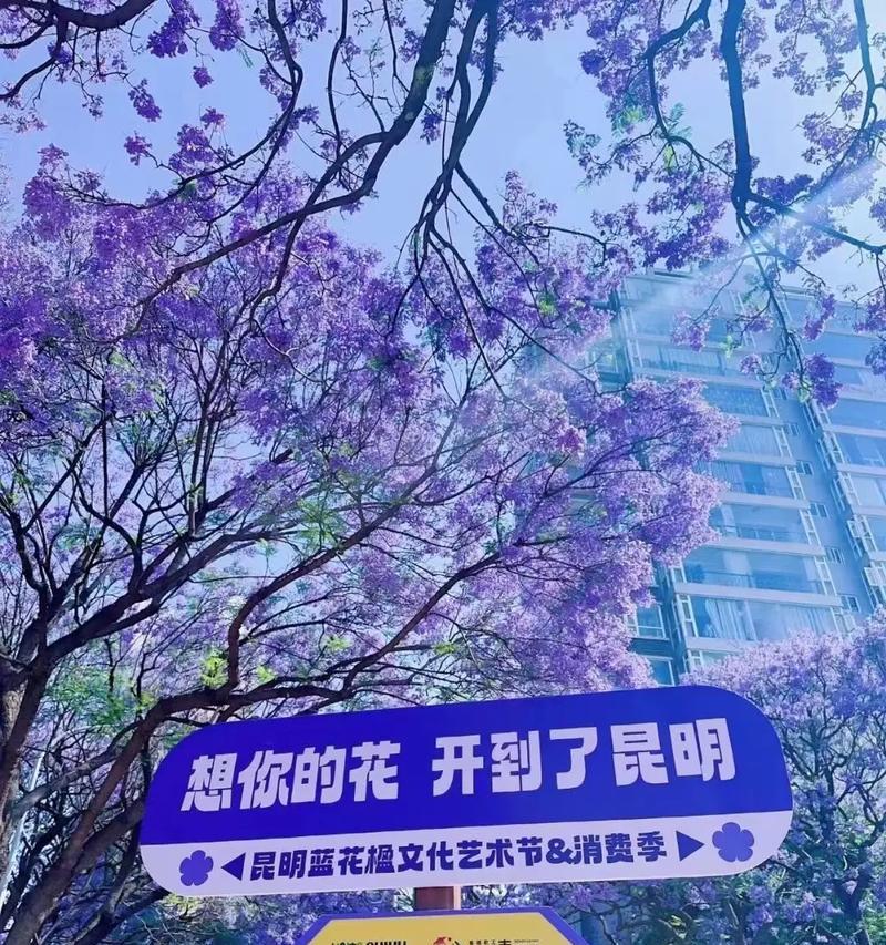 什么花的花语是等待爱情