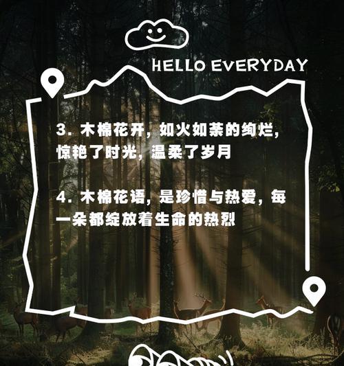 木棉花语：热情与坚韧的象征