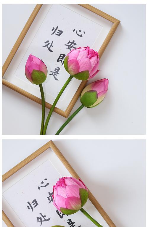 荷叶缠花的寓意和象征深度解读