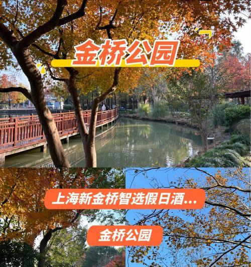 双叶红于二月花的寓意是什么