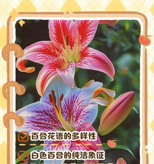 什么花的花语是忘记——探索遗忘之花的奥秘
