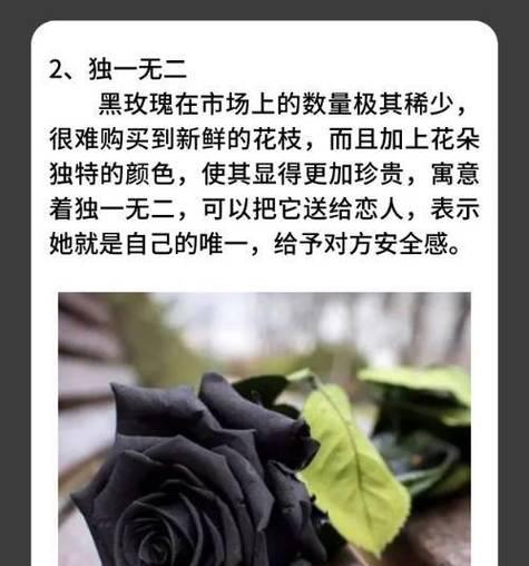 花语什么意思解释：花卉语言的奥秘与文化内涵