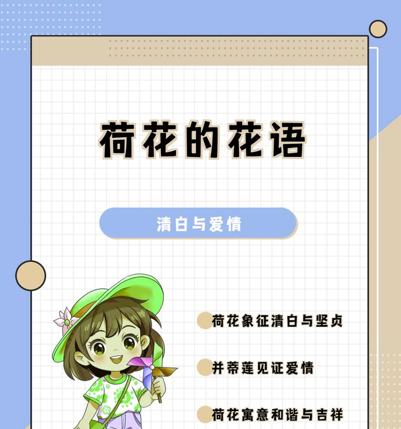 荷花礼盒花语解读：一份寓意美好的象征