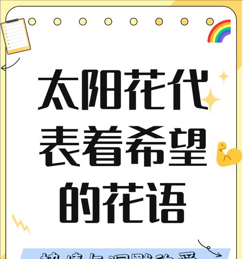 什么花的花语是阳光