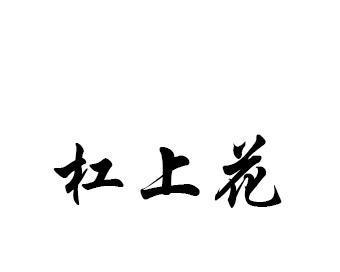 杠花代表的含义和象征是什么