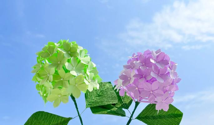 象征好运的绿色花朵是什么花？