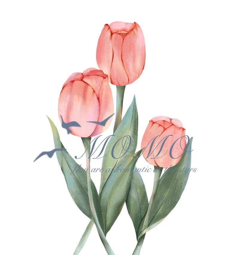 紫郁金香的花语是什么