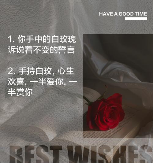 白花玫瑰的花语是什么