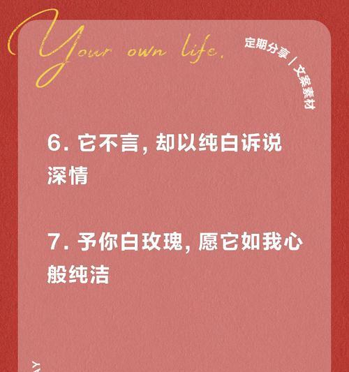 白花玫瑰的花语是什么