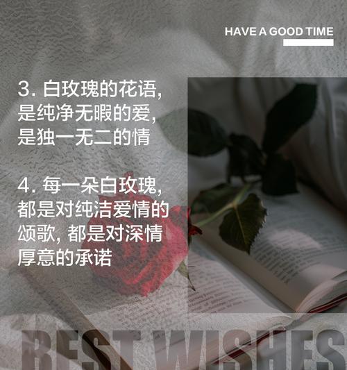 白花玫瑰的花语是什么