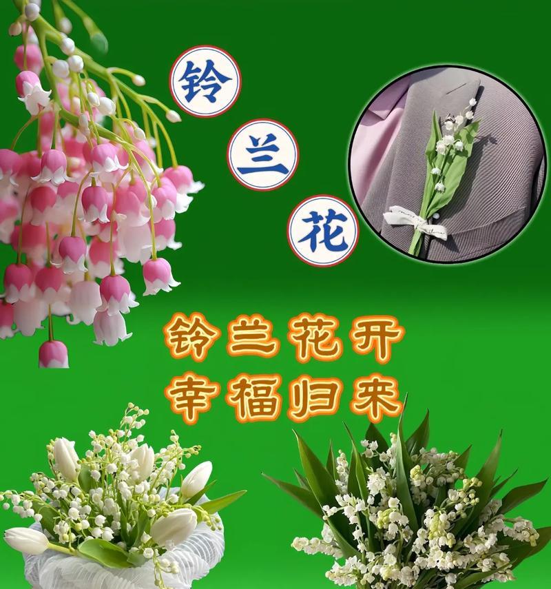 幸福的花语——那些传递幸福与美好的花朵