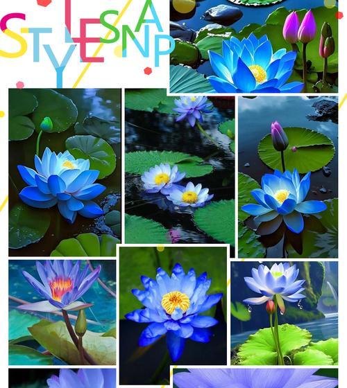 西方象征纯洁永恒的花——百合花的文化与象征意义