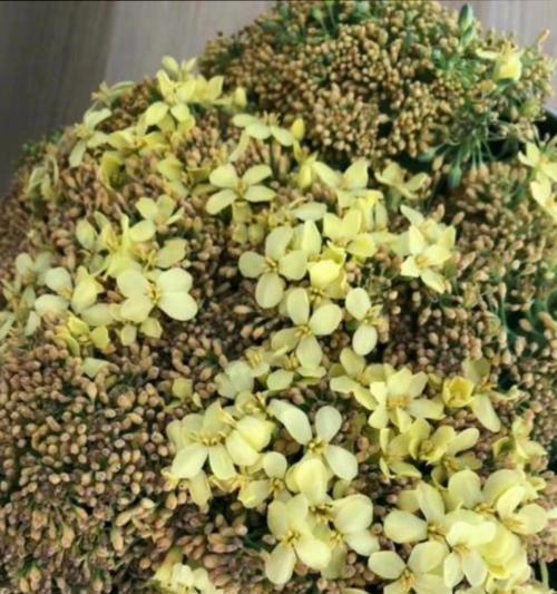 花西里的寓意是什么