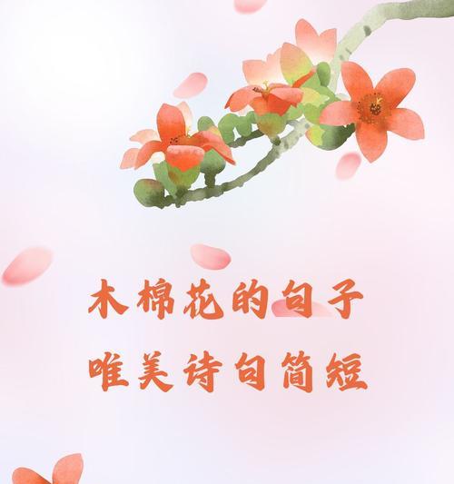 华南师范大学异木棉花的花语是什么？