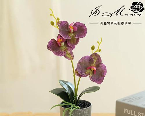 三花叉的寓意与象征