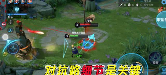 对抗路花语是什么
