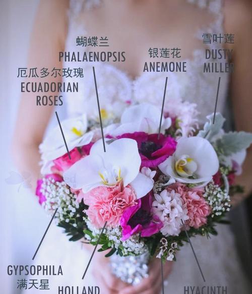 彼此送一朵花的寓意是什么