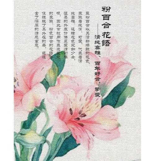 暗恋是什么花的花语