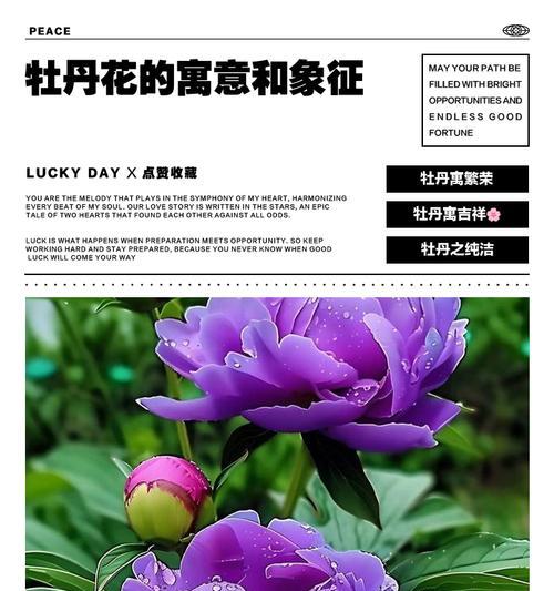 【带牡丹花的头冠寓意】——深入了解这一华美符号的丰富内涵