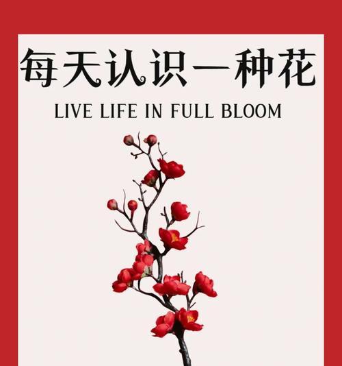 连翘的花语有哪些含义？