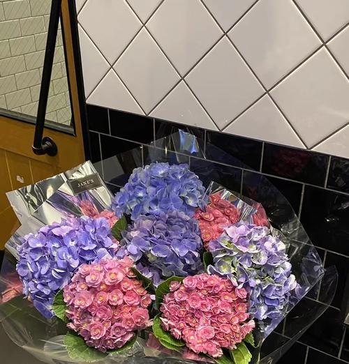 寓意爱世界的花是什么花