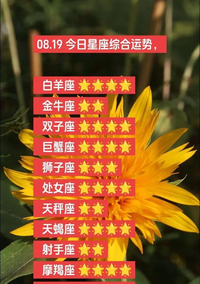 白羊和金牛的象征花：星座与花卉的神秘联系