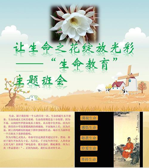 它是生命的象征：生命之花是什么？