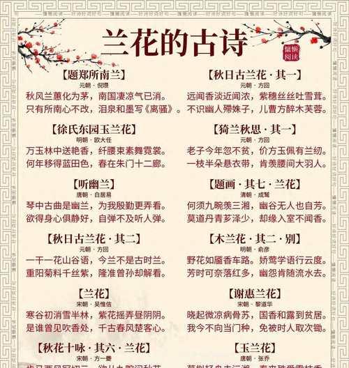 串兰花语：花中君子的深意解析