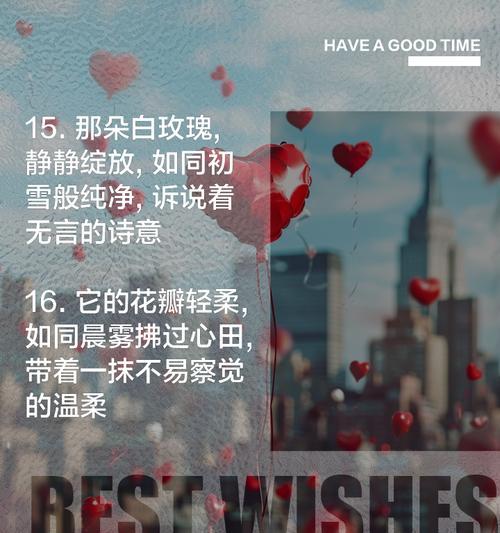 11朵白玫瑰花语是什么