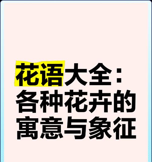送人的花代表什么含义和象征