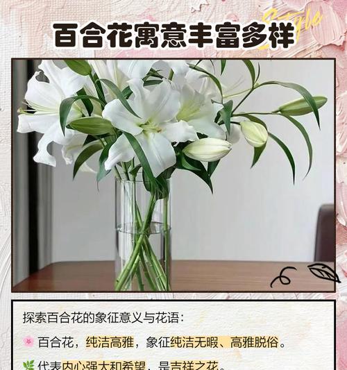 送人的花代表什么含义和象征