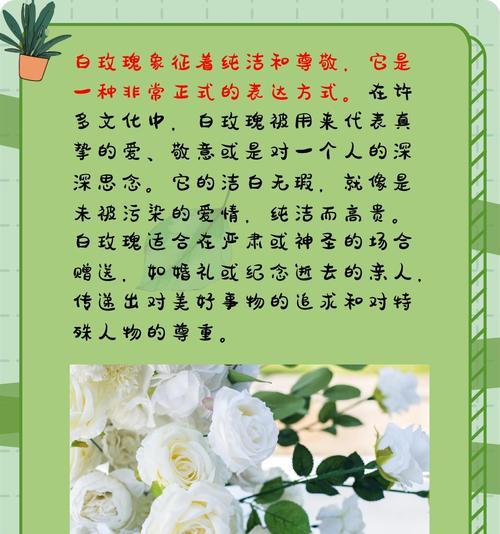 什么是三个玫瑰花的寓意？