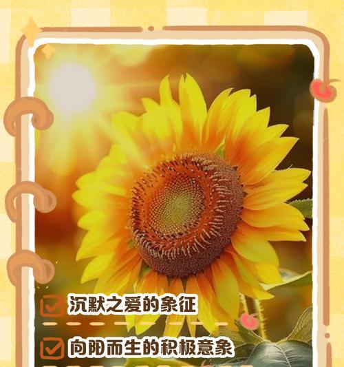 尊敬的花语：探索花卉世界中代表尊重与敬意的花朵