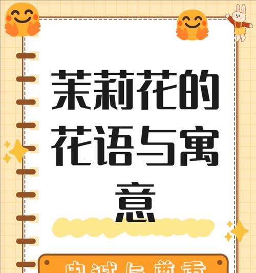 尊敬的花语：探索花卉世界中代表尊重与敬意的花朵