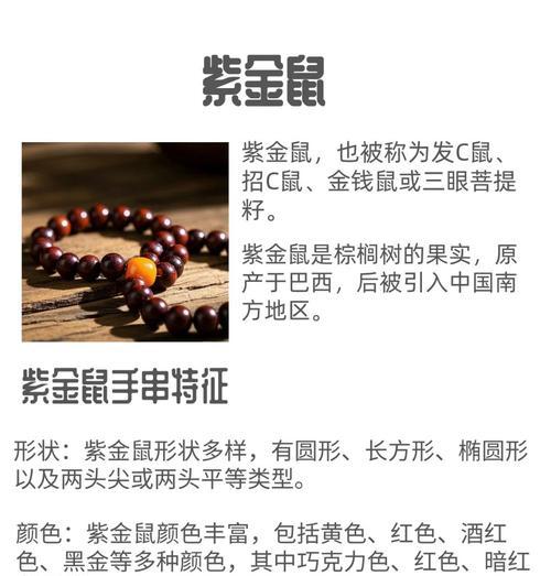 花皮紫金鼠手串的寓意深度解读