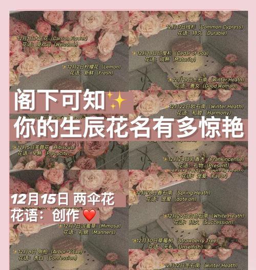 送柠檬的花语是什么